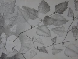 Feuilles de Bouleau (1985)